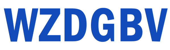 WZDGBV Valve CO.,LTD