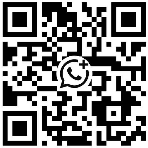 +8613968864541
