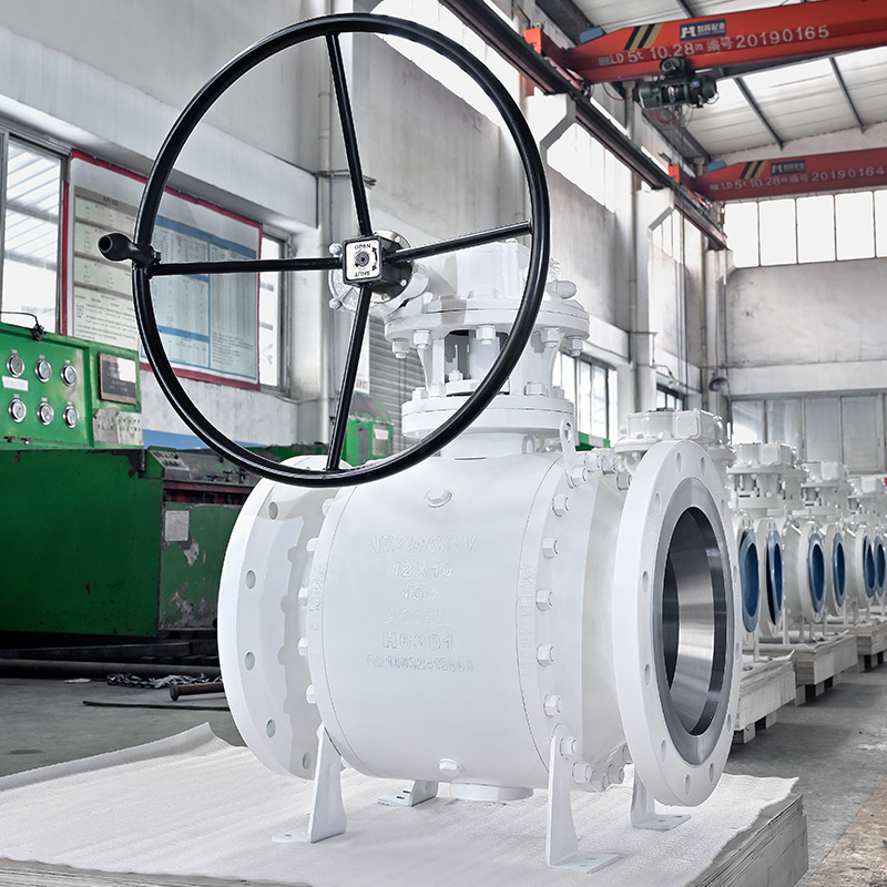 WZDGBV Valve Products two 005